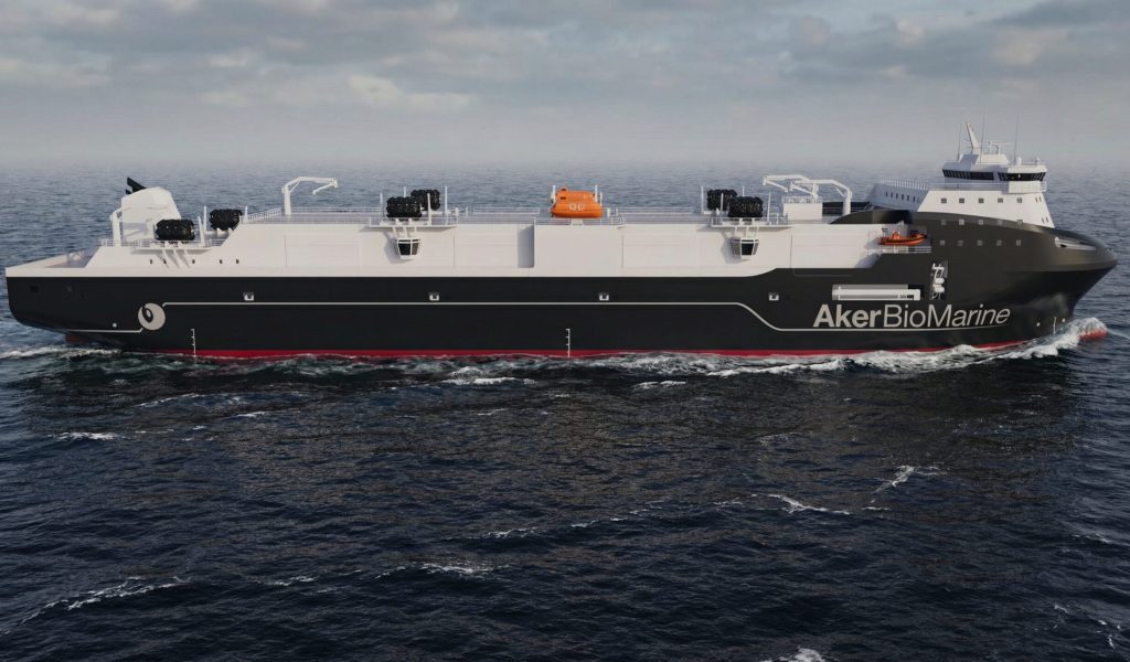 5682 Antarctic Provider